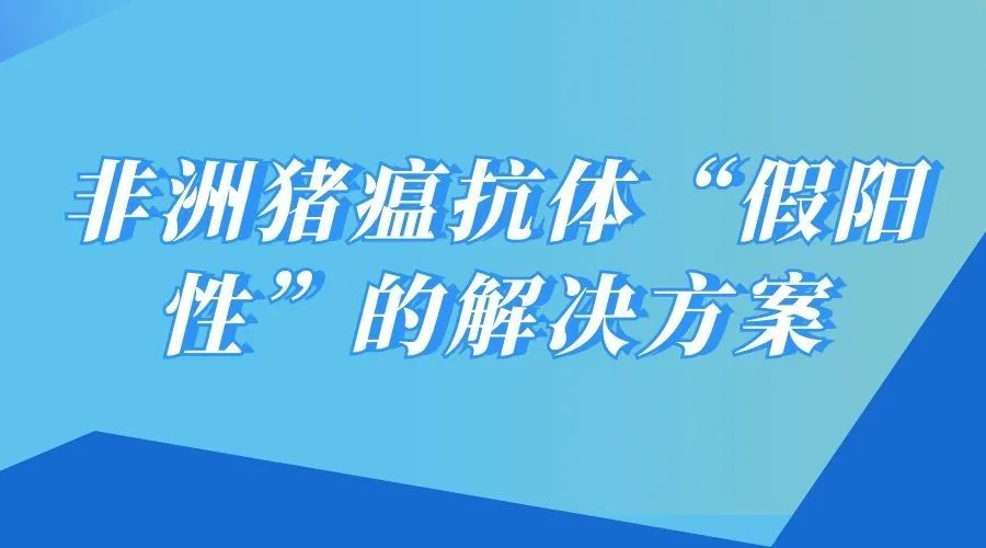 新澳2025最新资料大全挂牌,警惕虚假宣传,时代解答解释落实_E91.326