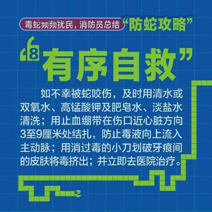 2025全年资料免费大全,警惕虚假宣传,统计解答解释落实_潮流制370.846